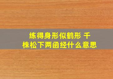 练得身形似鹤形 千株松下两函经什么意思